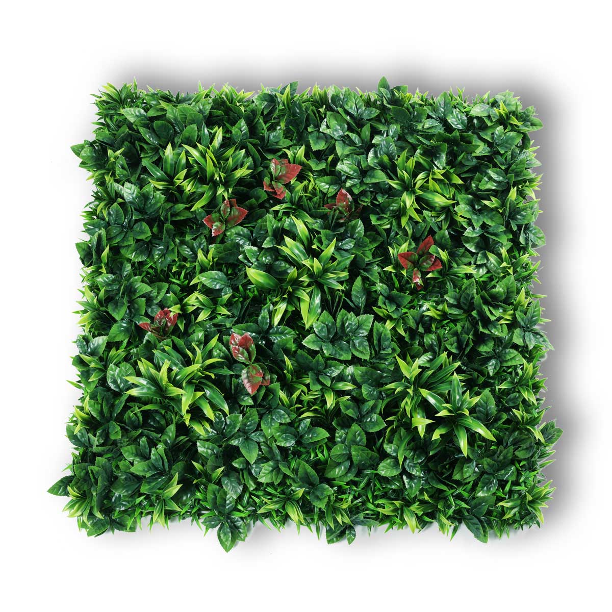 Blumenwand - Delight