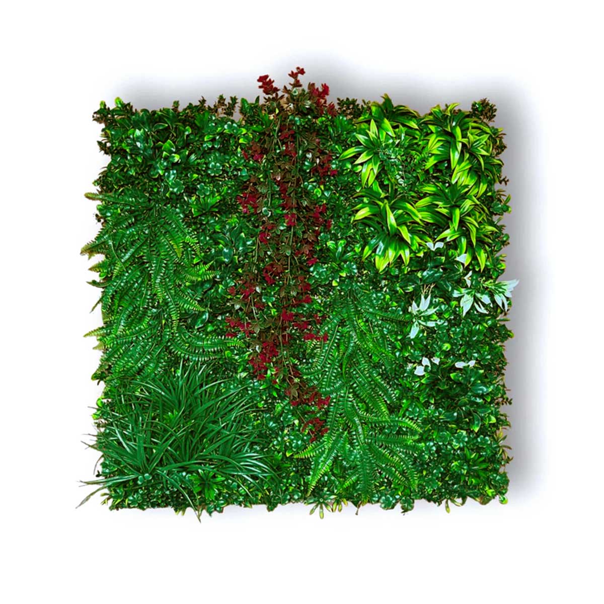 Blumenwand - Tropical