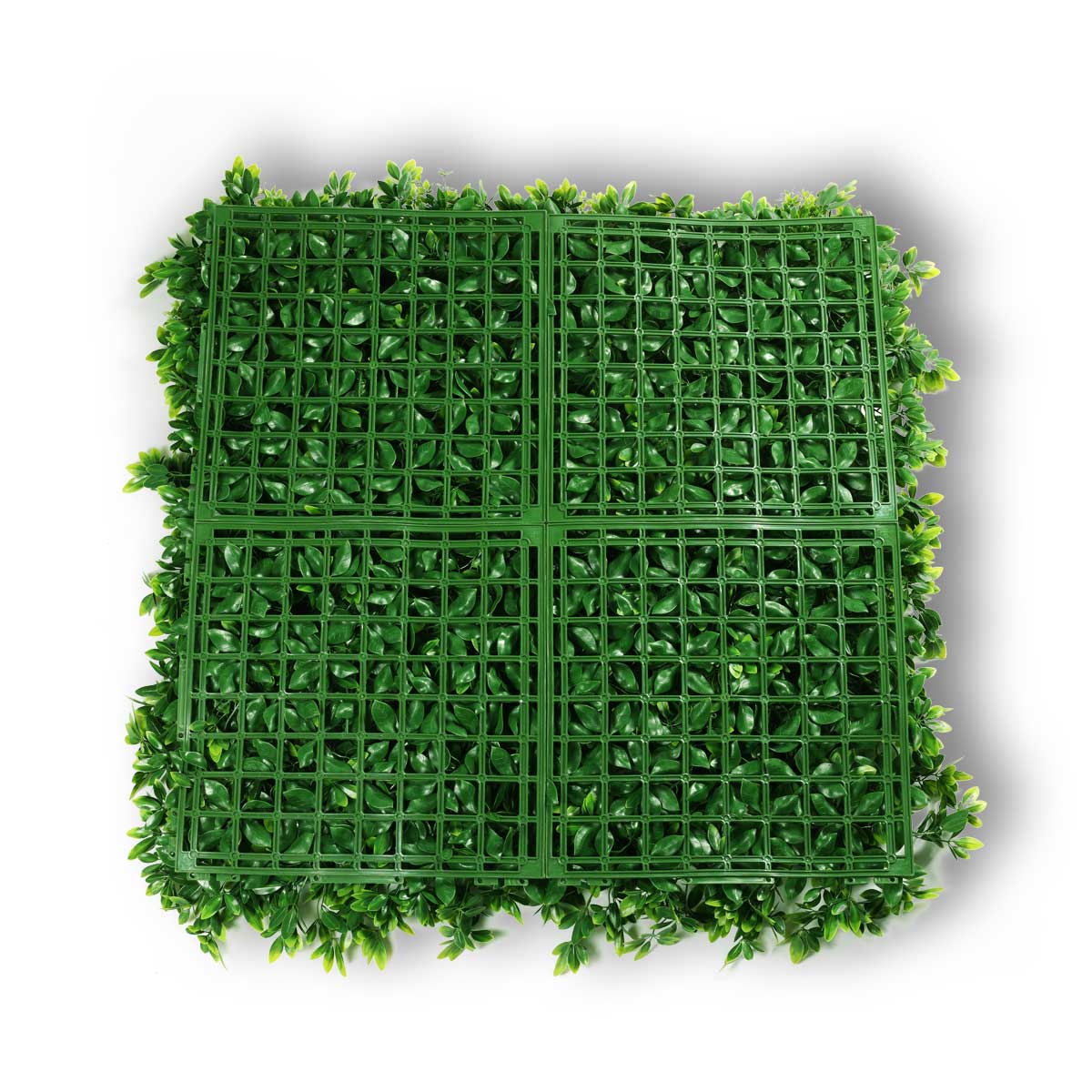 NEONMONKI_blumenwand_jungle