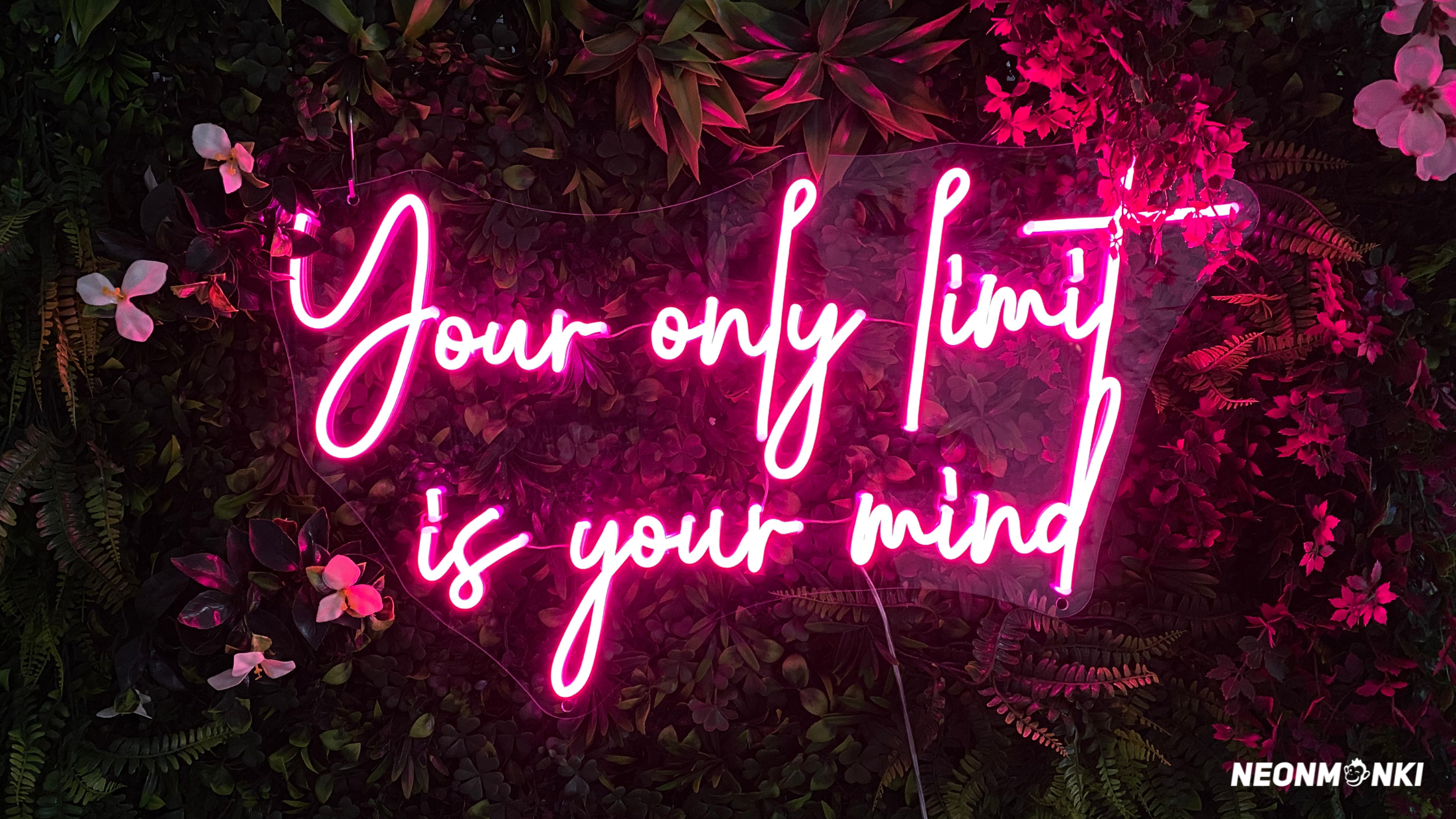 NEONMONKI_neon_bilder