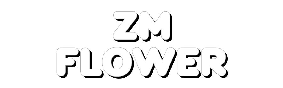 Konfigurator - Personalisierte Leuchtreklame & Leuchtbuchstaben ZM
flower