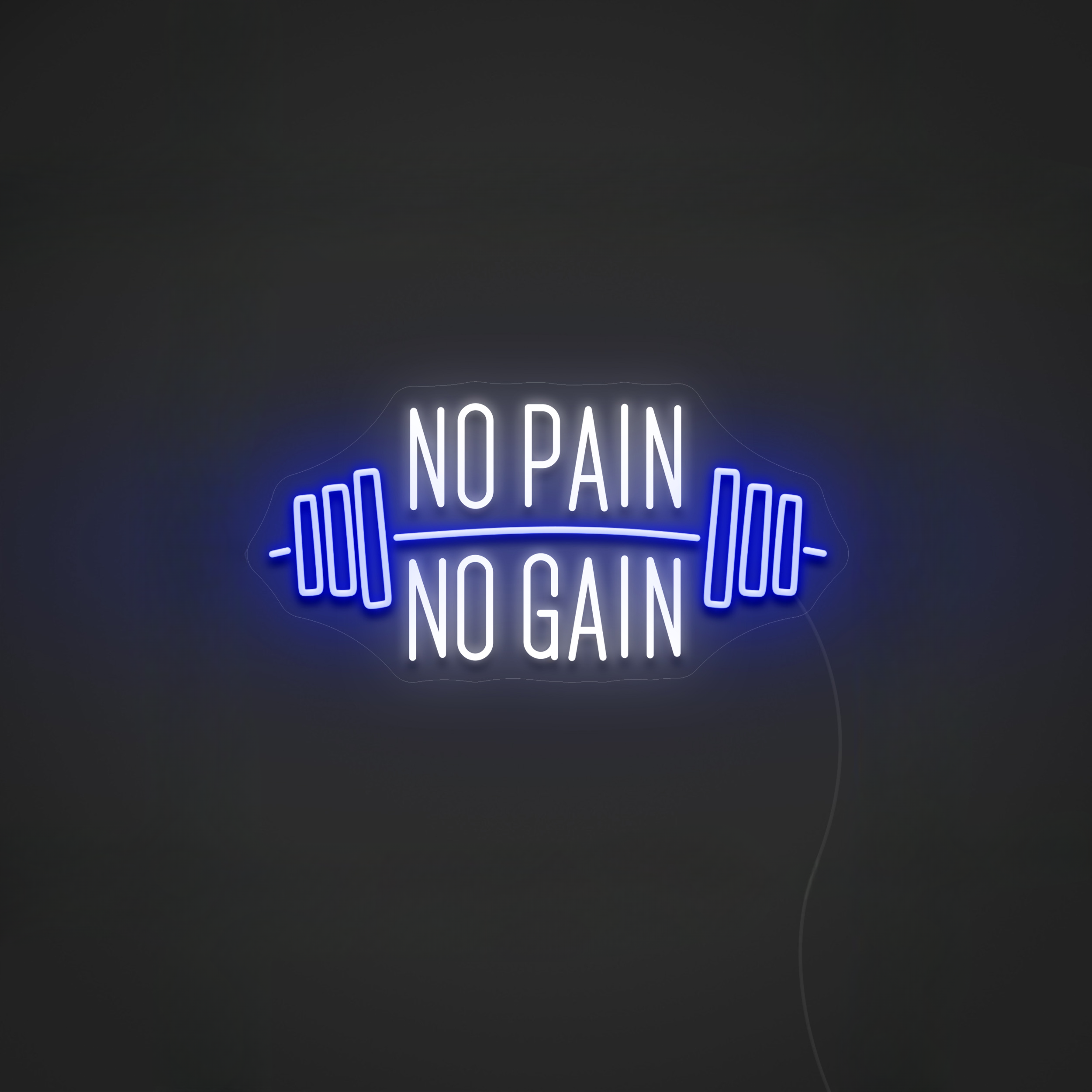 LED Leuchtschild "No Pain No Gain" Perfekte Neon Schild - NEONMONKI