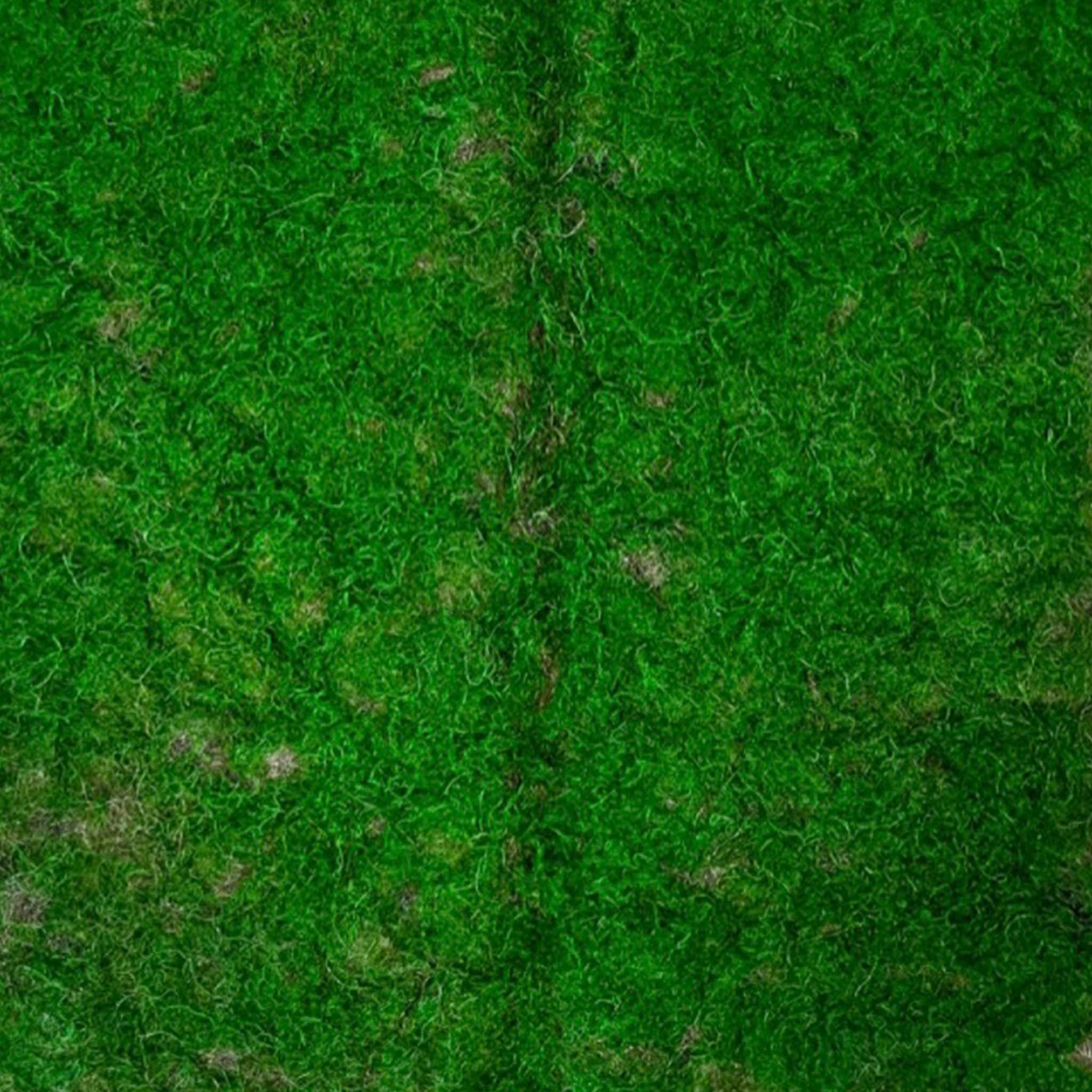 Mooswand - Garden
