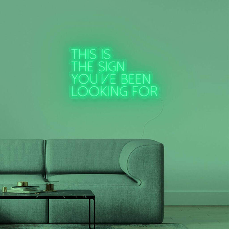 LED Schriftzug