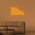 LED Schriftzug
